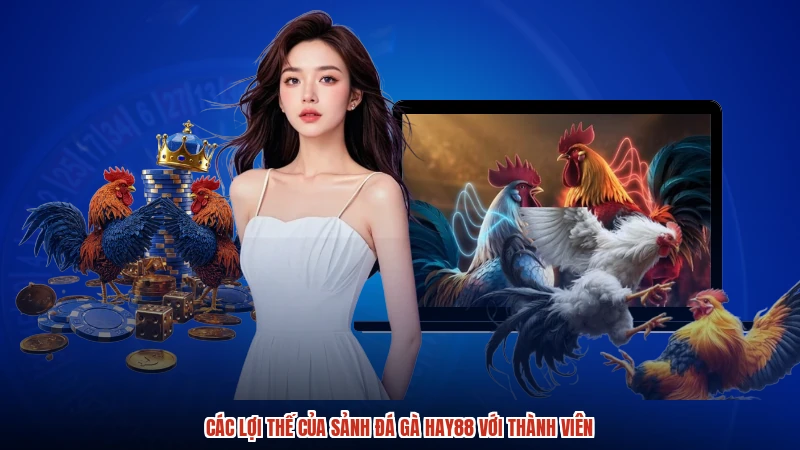 Các lợi thế của sảnh đá gà HAY88 với thành viên