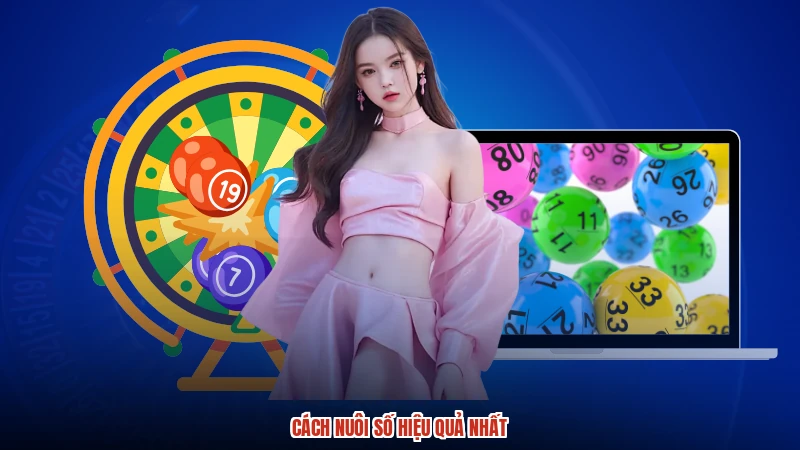 Cách nuôi số hiệu quả nhất