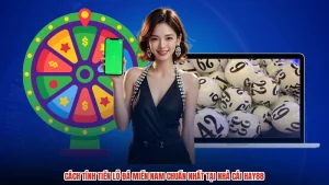 Cách Tính Tiền Lô Đá Miền Nam Chuẩn Nhất Tại Nhà Cái HAY88