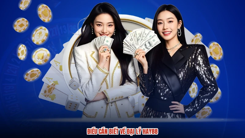 Điều cần biết về đại lý HAY88