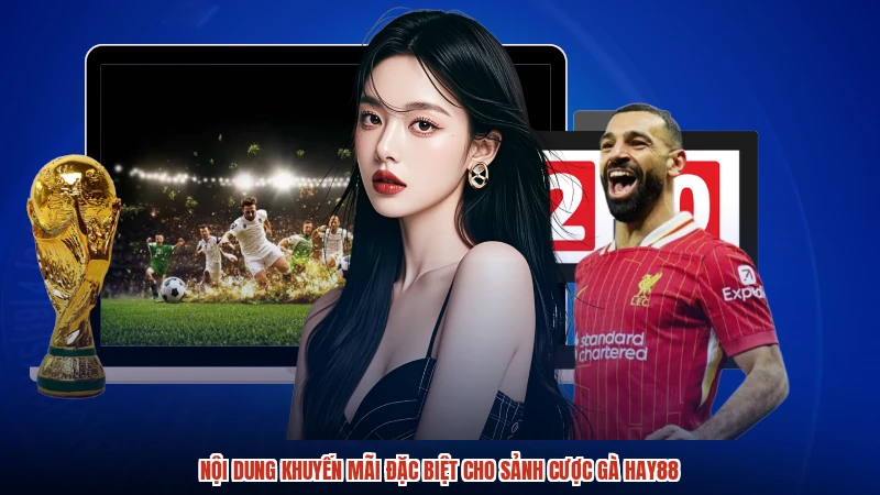 Nội dung khuyến mãi đặc biệt cho sảnh cược gà HAY88
