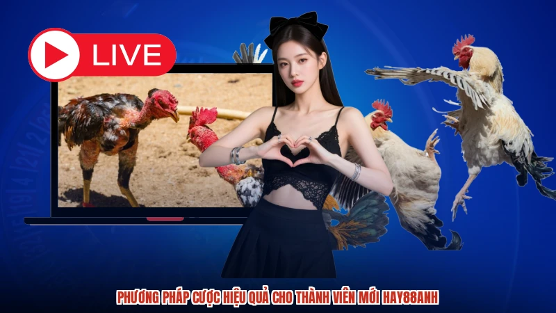 Phương pháp cược hiệu quả cho thành viên mới HAY88anh
