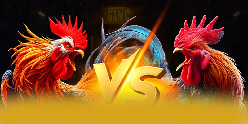 SUNWIN - Cổng cá cược ổn định tại Việt Nam SUNWIN - Cổng cá cược ổn định tại Việt Nam